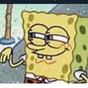 Meet your Posher, Flemmie